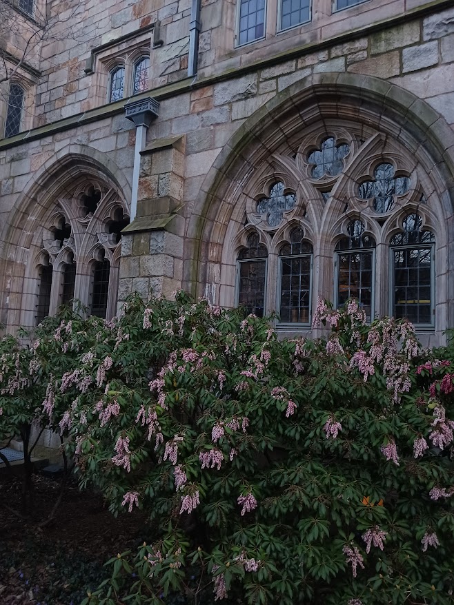 College campus background